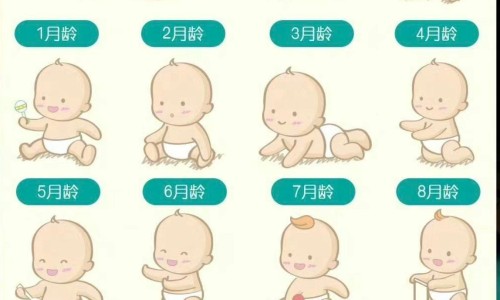 胸水症-治疗胸水的用药网 - 网站提供胸水中药小常识、胸水中药方剂有哪些